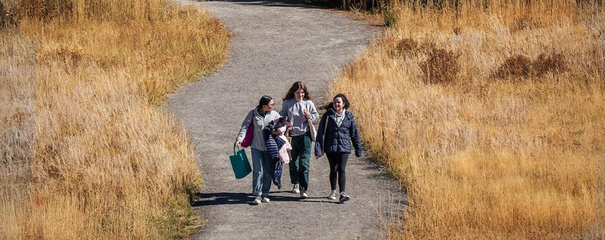 three women walking through sunlit clearing